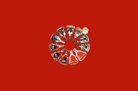 白城市大安回收红酒